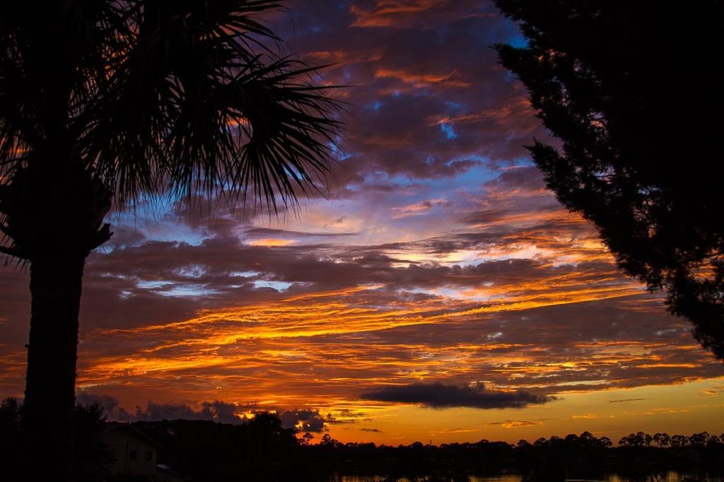 Black Dolphin Inn New Smyrna Beach Εξωτερικό φωτογραφία